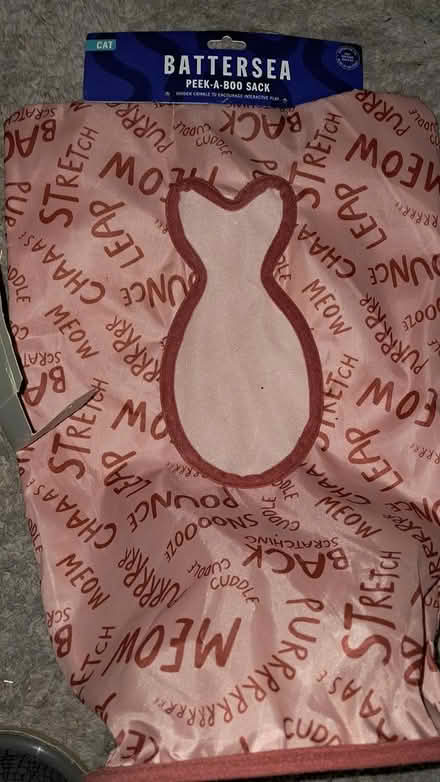 Photo of free Cat bundle (Holloway road N4) #4