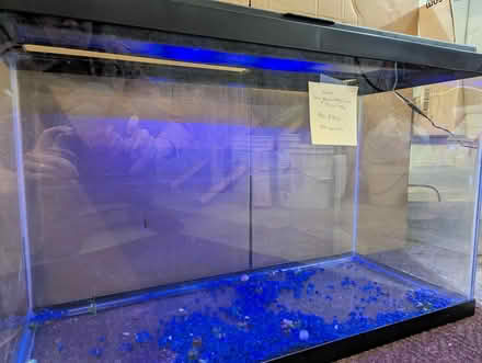 Photo of free Aquarium (Old Barrhaven) #3