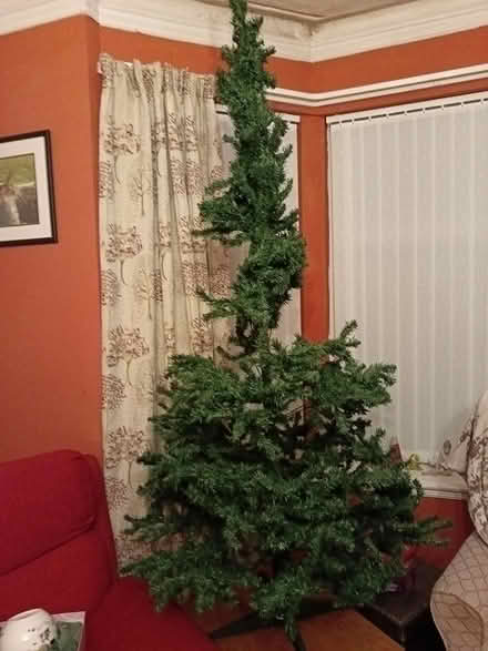 Photo of free 7ft Christmas tree (lemington NE15) #1