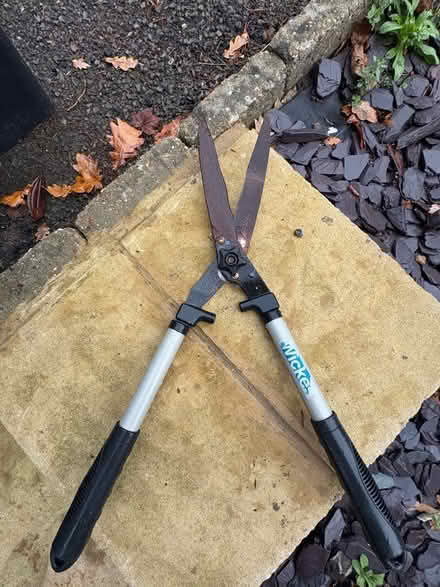 Photo of free Garden shears in need of some TLC (Buggs Bottom RG4) #1