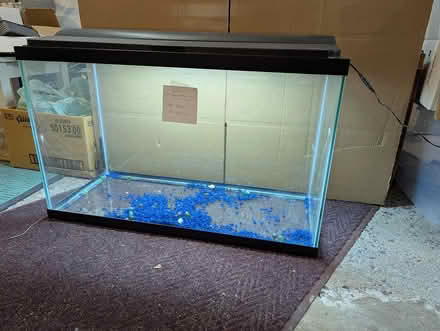 Photo of free Aquarium (Old Barrhaven) #2