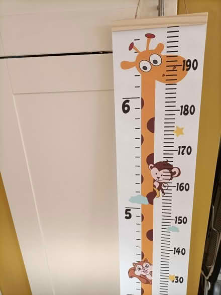 Photo of free Growth chart. Brand new in box (Bucklesham) #1
