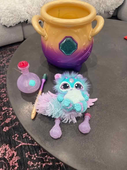 Photo of free Magic Mixie Cauldron (Old Town) #1