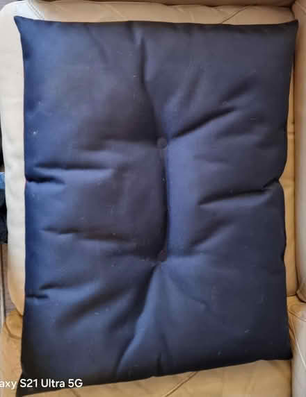Photo of free Reversable dog cushion (Steventon OX13) #1