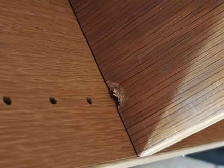 Photo of free Solid tall wide wood finish bookcase. 185*31*78cm (Woodley RG6) #3