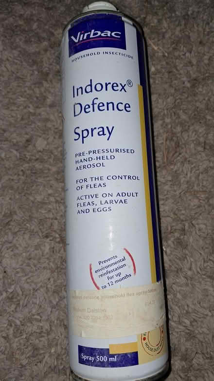 Photo of free Cat bundle (Holloway road N4) #3