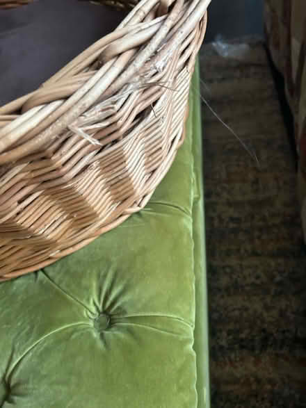 Photo of free Large dog basket (Cranbrook TN17) #4