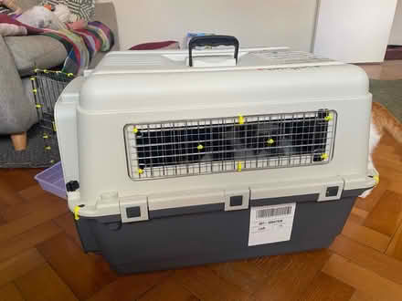 Photo of free Large cat carrier (by Clissold Park N16) #3