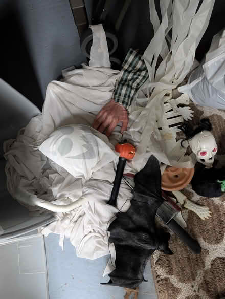 Photo of free Halloween decorations & costume (Allendale NJ) #1