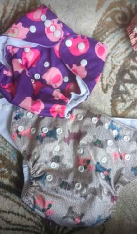 Photo of free Reusable nappies (North Watford WD25) #2