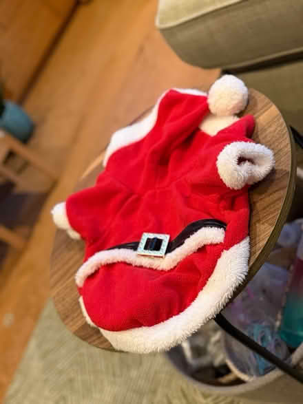 Photo of free Cat santa outfit (Tanner St, SE1) #1
