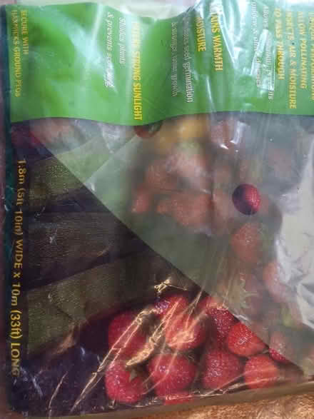 Photo of free Garden eco polythene cover (Rathmines/Ranelagh) #3