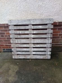 Photo of free Pallet (Shelton Lock DE24) #1