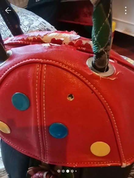 Photo of free Mushroom Bag (Morda SY10) #1