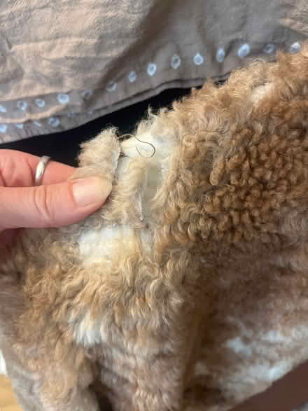 Photo of free Sheepskin coat (SW9) #3