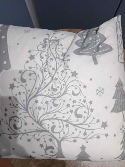 Photo of free Christmas cushions (Bristol BS7) #1