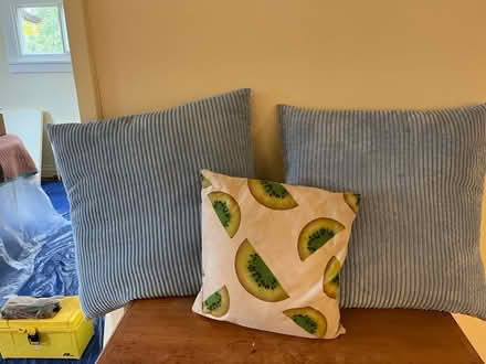 Photo of free Throw pillows (Rhinebeck village) #1