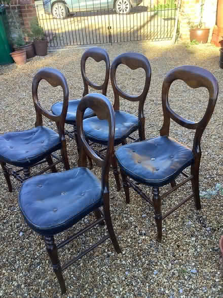Photo of free 6 small balloon back chairs (sidlesham) #2