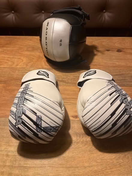 Photo of free Boxing gloves and medicine ball (Niles) #2