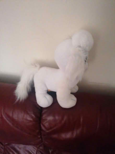 Photo of free Cuddly Toy (Parkstone BH14) #4