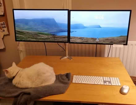 Photo of free Ikea Desk, not the monitors, not the cat (Royal Leamington Spa CV32) #1