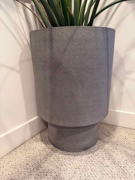 Photo of free Bird of Paradise Plant and Planter (soma) #2