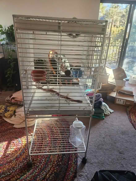 Photo of free wrought iron bird cage (W. Gurley/San Carlos) #1