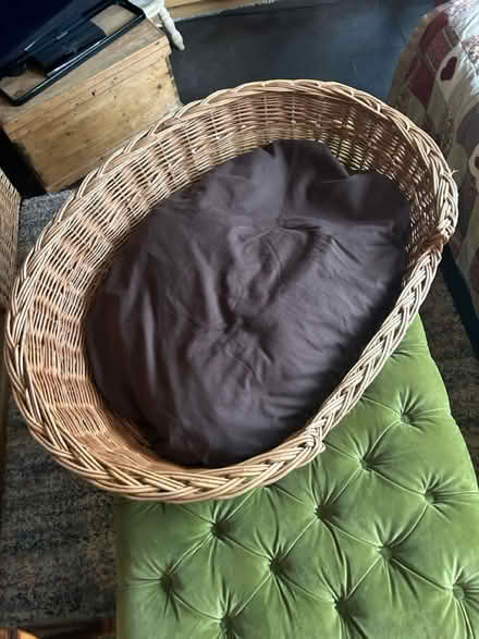 Photo of free Large dog basket (Cranbrook TN17) #1