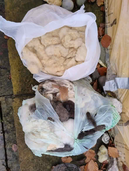 Photo of free Two bags of wool for mulch (High Wood GL6) #1