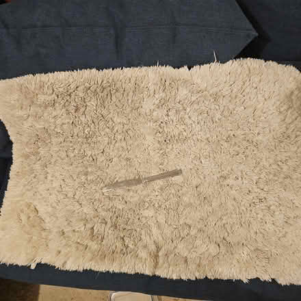 Photo of free Large bath mat (NW5 Kentish Town) #1