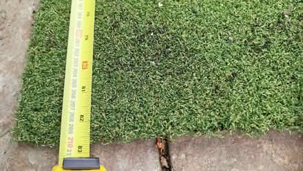 Photo of free Fake grass (West Oxfordshire OX28) #1