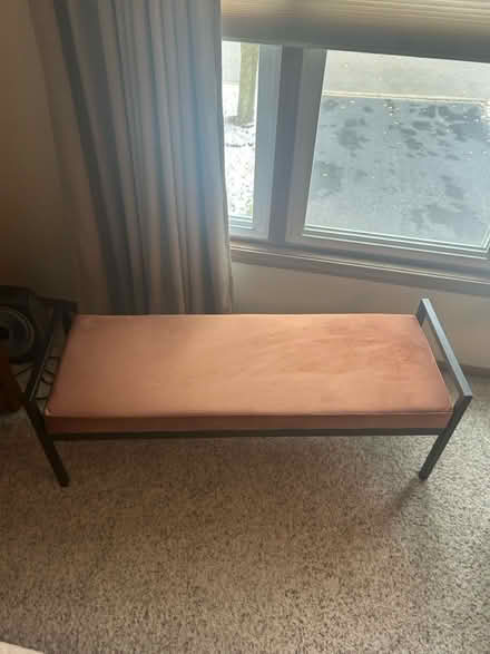 Photo of free Metal Upholstered Bench (Lake Arlington) #2