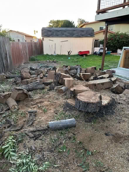 Photo of free Walnut tree fire wood (Redwood City) #1