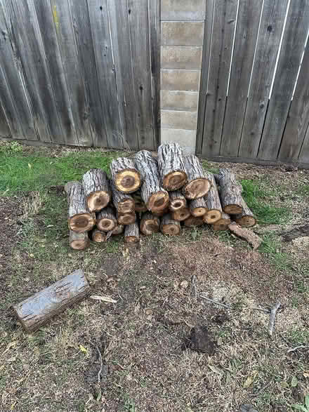 Photo of free Walnut tree fire wood (Redwood City) #2