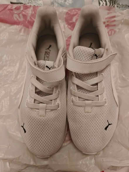 Photo of free Puma trainers (Strood ME2) #1