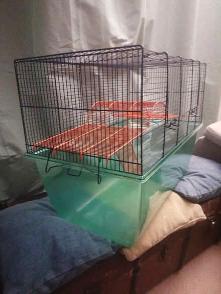 Photo of free Gerbil hamster house (Buxton Central SK17) #2
