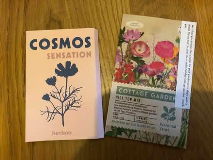 Photo of free Flower seeds (Stoke Gifford BS34) #1