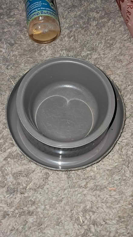 Photo of free Cat bundle (Holloway road N4) #2