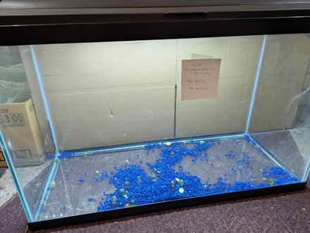 Photo of free Aquarium (Old Barrhaven) #1