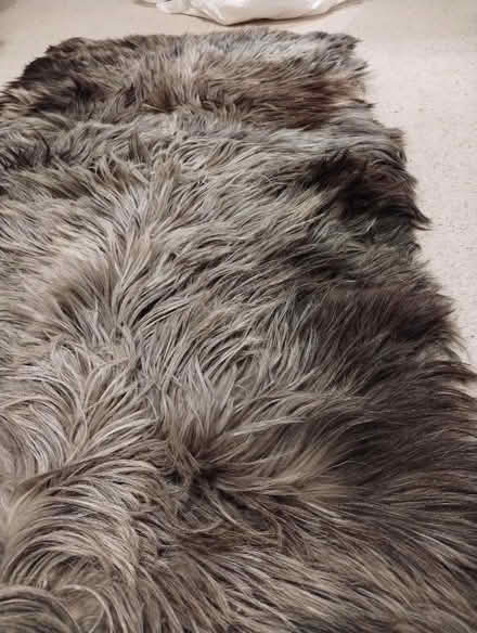 Photo of free Goatskin rug. (New Catton NR3) #3