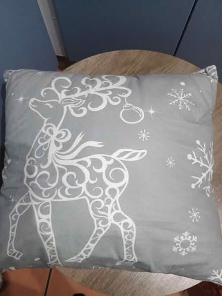 Photo of free Christmas cushions (Bristol BS7) #2