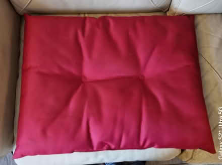 Photo of free Reversable dog cushion (Steventon OX13) #2