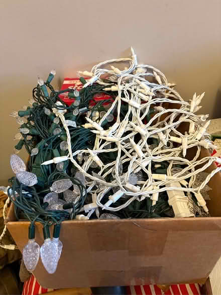 Photo of free Christmas Lights (Owings, Calvert County, MD) #1