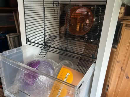 Photo of free Small animal house (Cranbrook TN17) #2