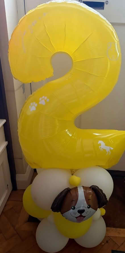 Photo of free Balloons (Purley) #2