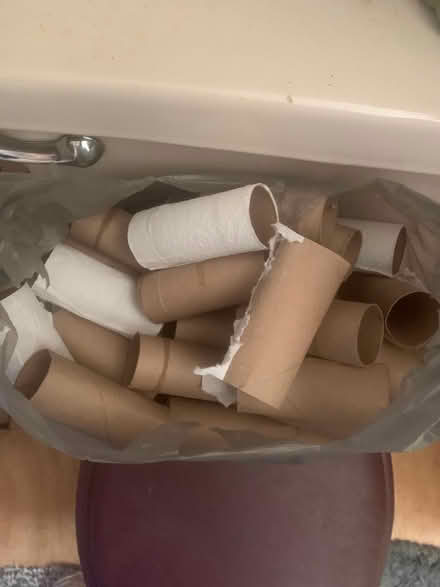 Photo of free Toilet Paper Rolls for Crafts (Salisbury) #1