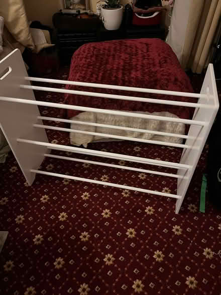 Photo of free Shoe rack (Shortstown MK42) #1
