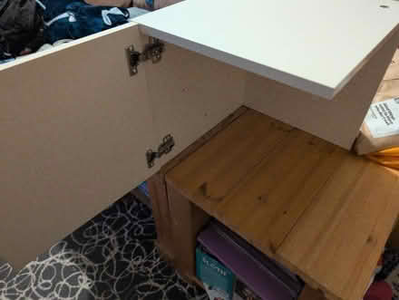 Photo of free Kallax IKEA door insert (Bear flat) #2