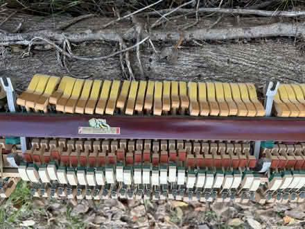 Photo of free pieces of a piano (Forest Knolls--west of Fairfax) #3