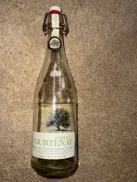 Photo of free Bottle with grolsch type bottle top (Hotwells BS8) #1